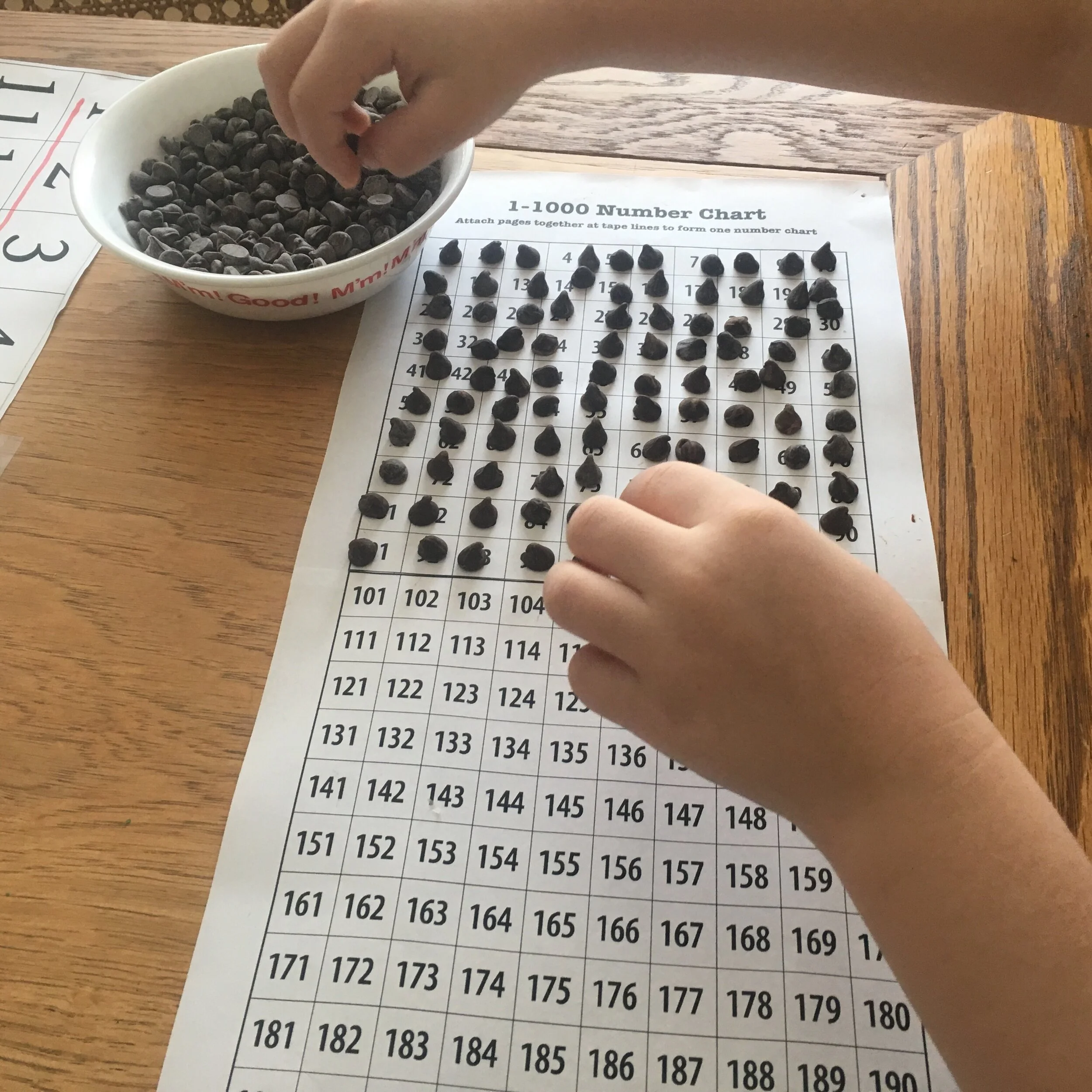 Counting to 1000 with charts + chocolate chips