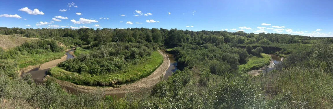 Field Trips to Beaver Creek