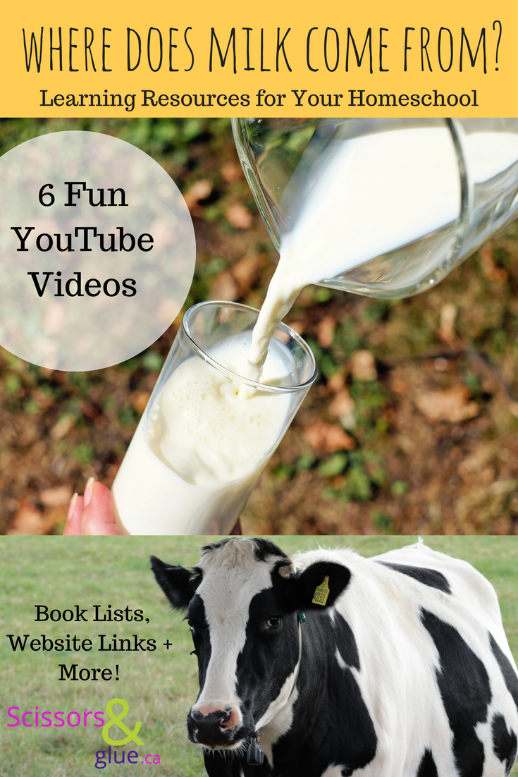 Where Does Milk Come From? Learning Resources for Your Homeschool
