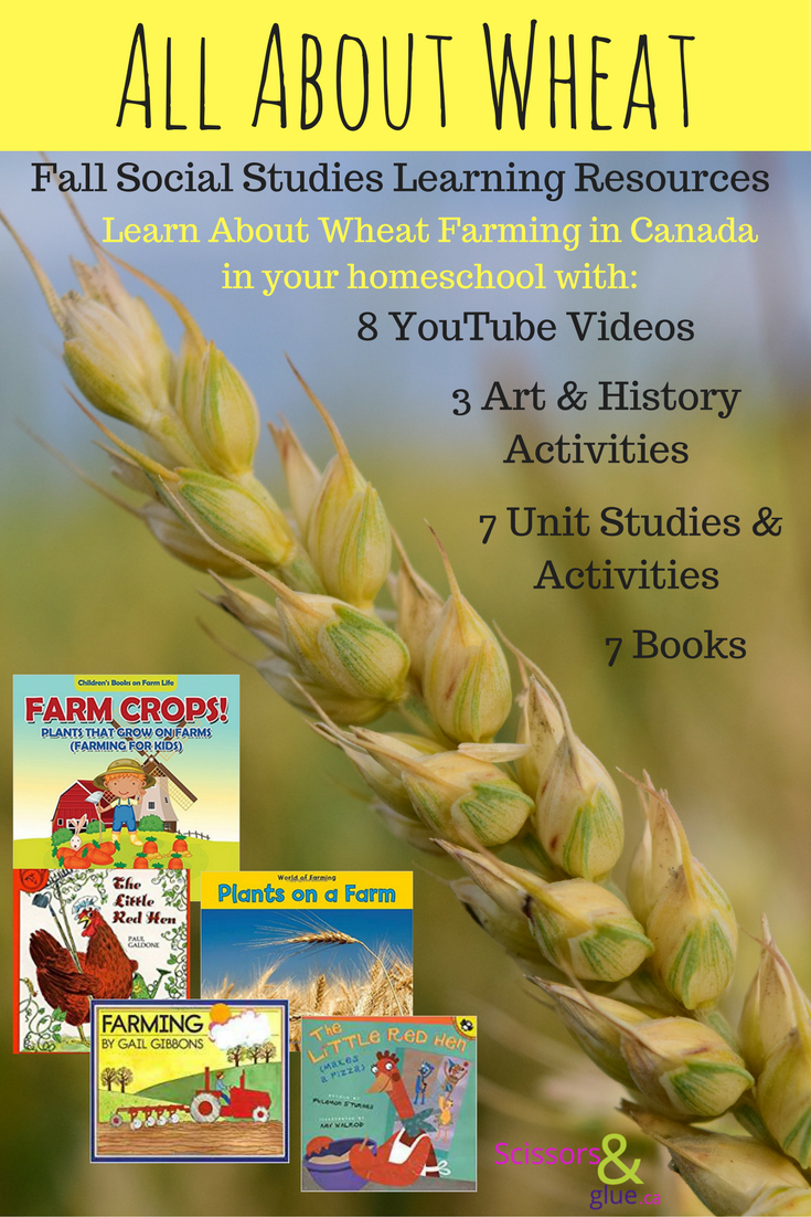 All About Wheat ~A Homeschool Learning Resource