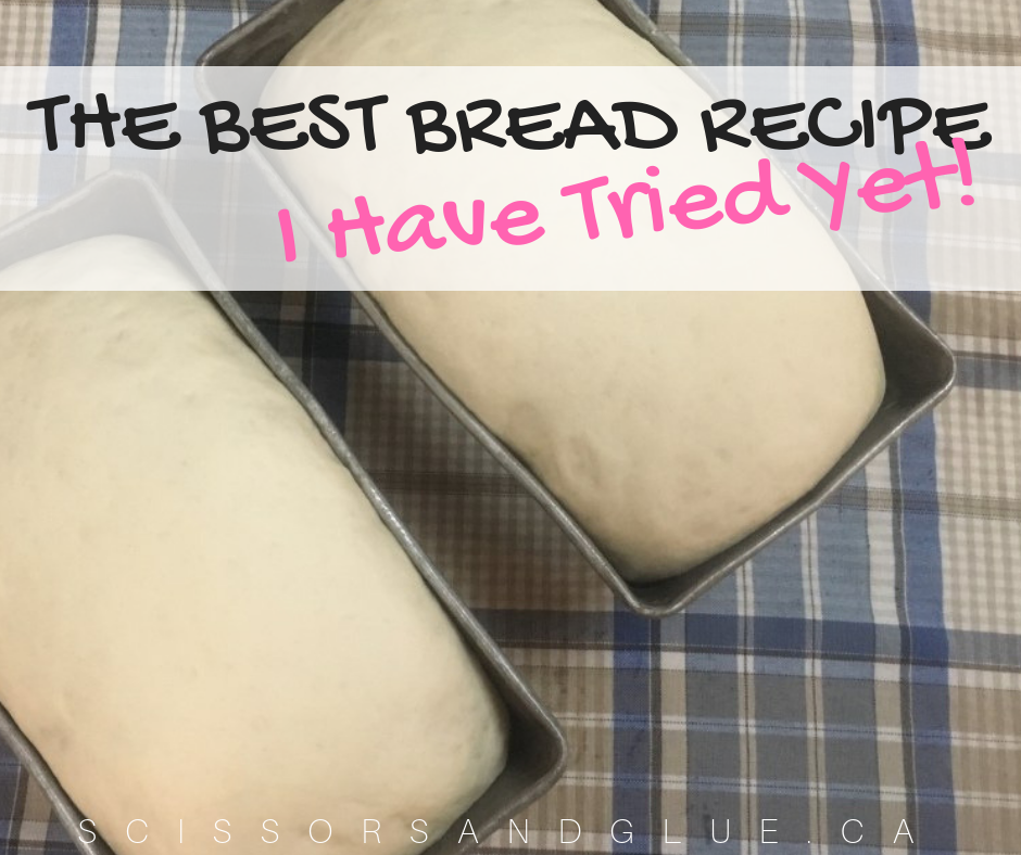 The Best Bread Recipe I Have Tried Yet!