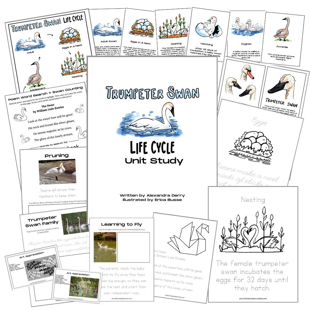 Trumpeter Swan Study Product Cover.png