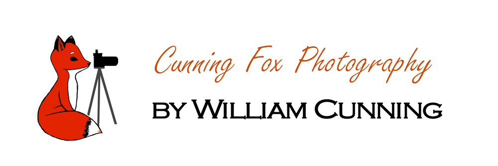 Cunning Fox Photography by William Cunning