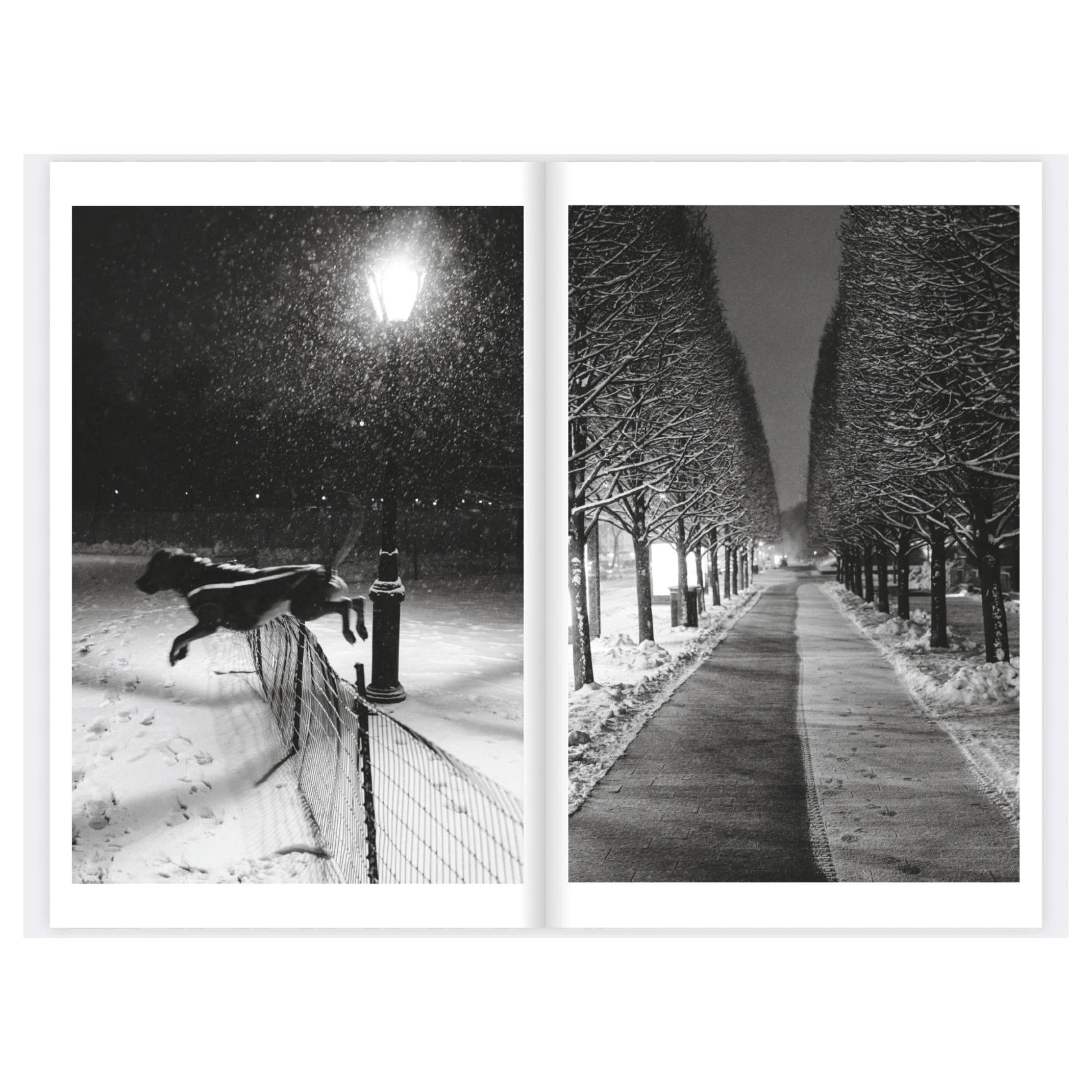 Screen%20Shot%202025-02-20%20at%209.41.28%20AM Edited.JPG