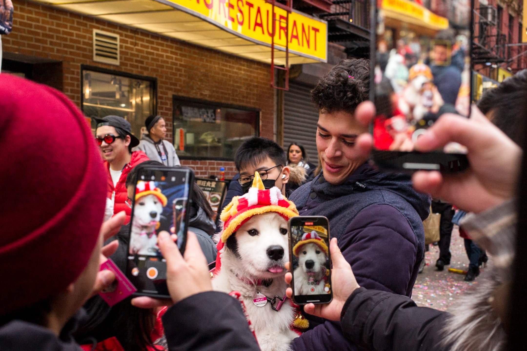 Lunar New Year Dog 2023.jpg