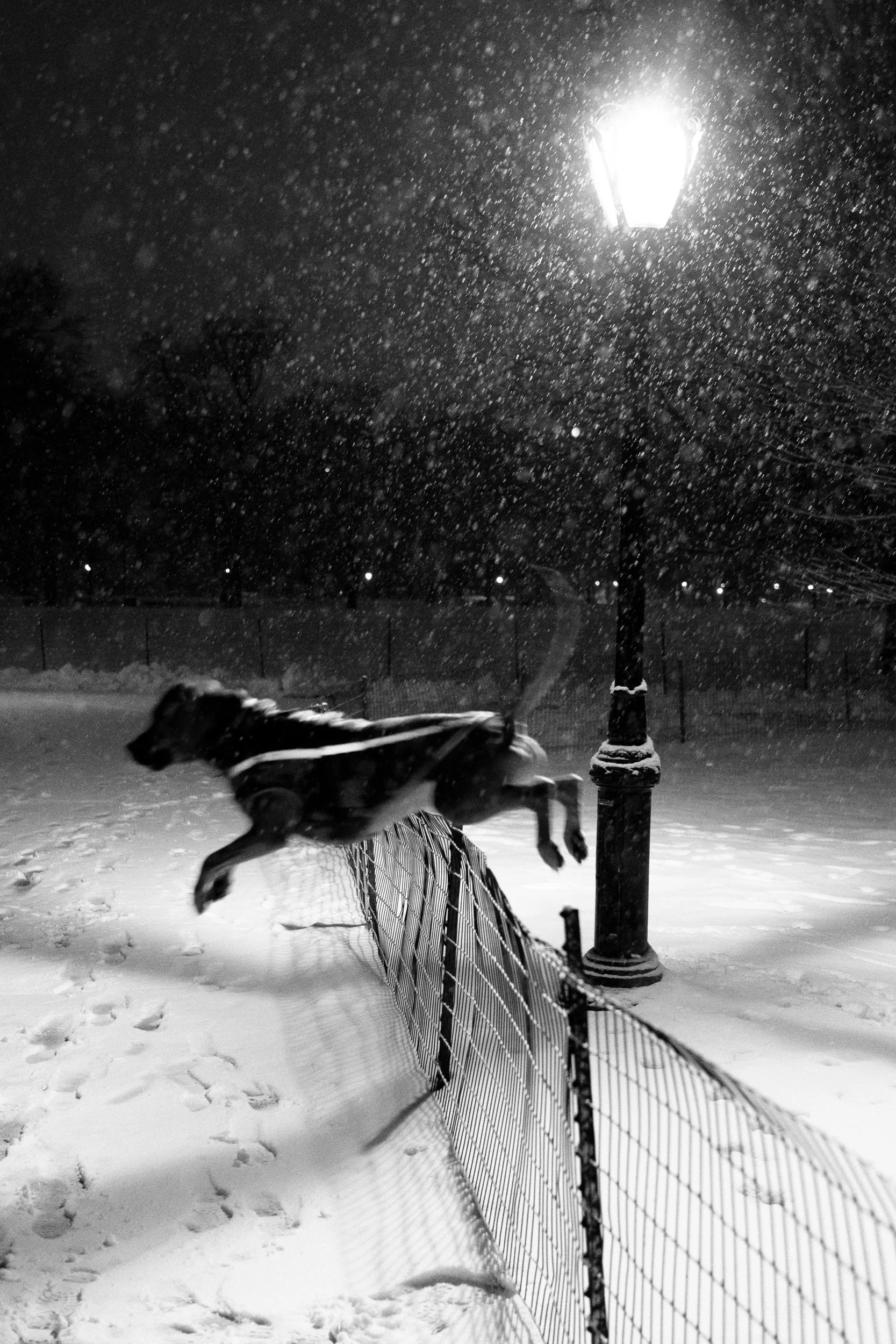 Midnight Jump.jpg