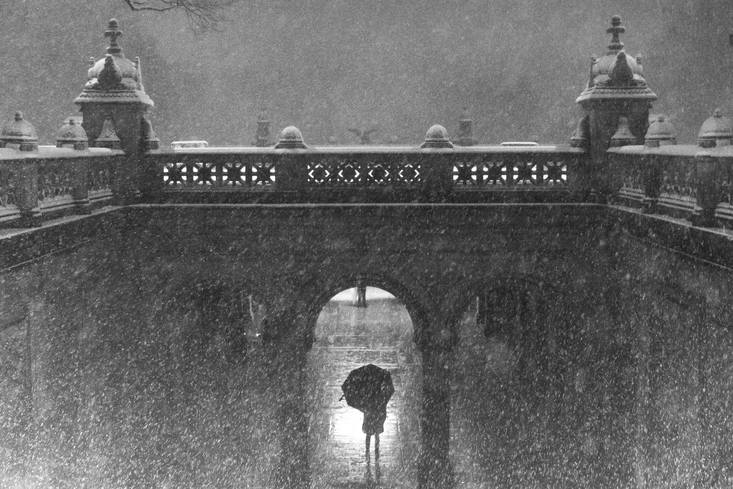 NYC Blizard Umbrella at Baseda.jpg
