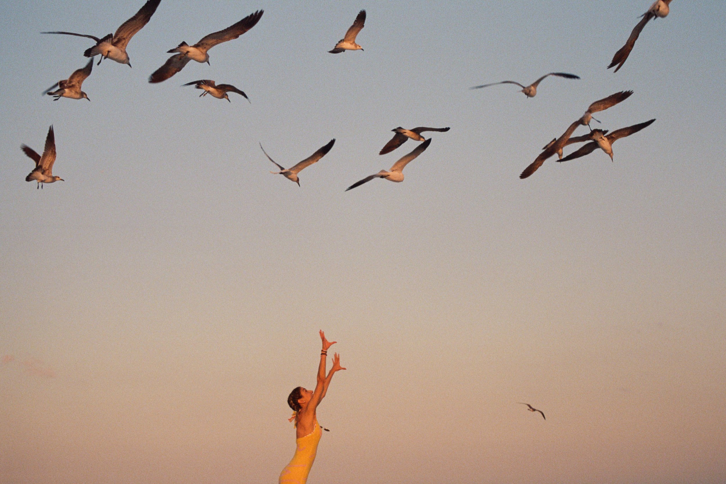 Bird Conductor.jpg