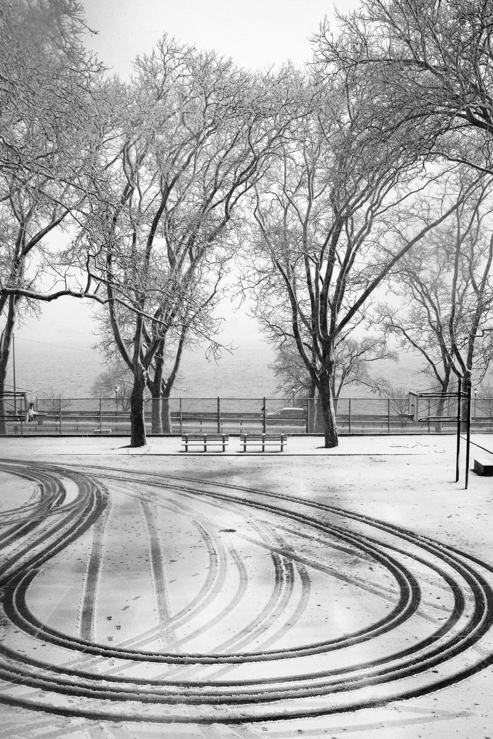 NYC Winter's Circle.jpg