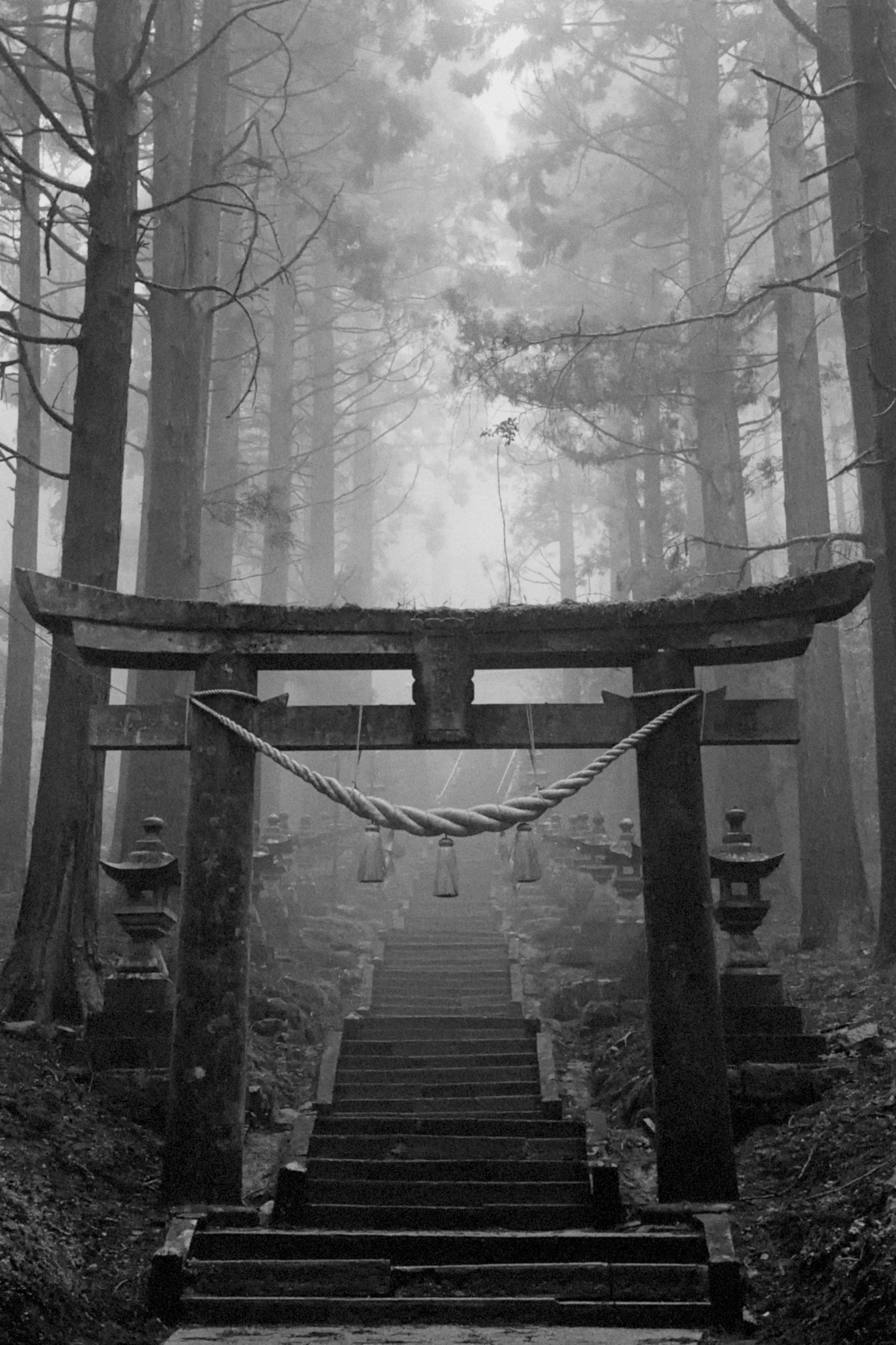Japan Shrine in Fog.jpeg