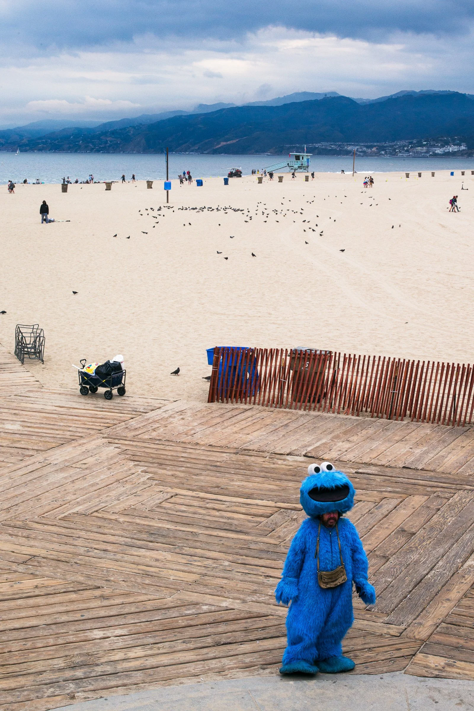 LA Cookie Monster has Seen Better Days.jpg