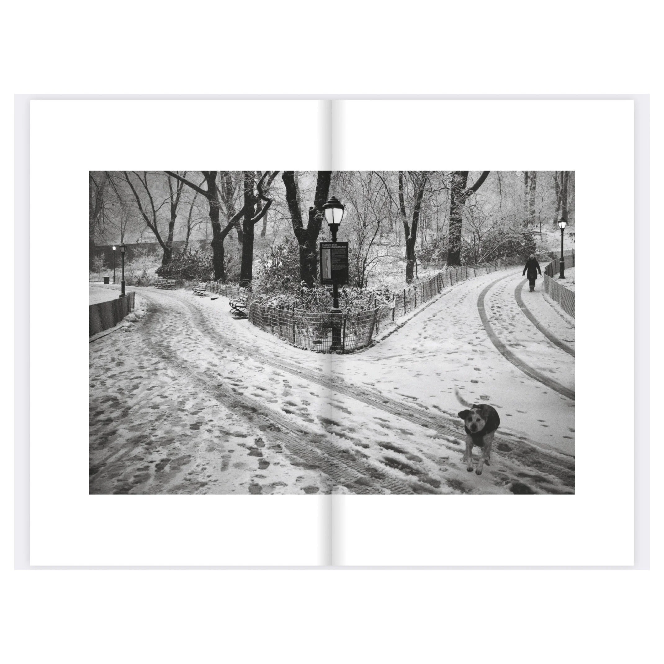 Screen%20Shot%202025-02-20%20at%209.43.55%20AM Edited.JPG