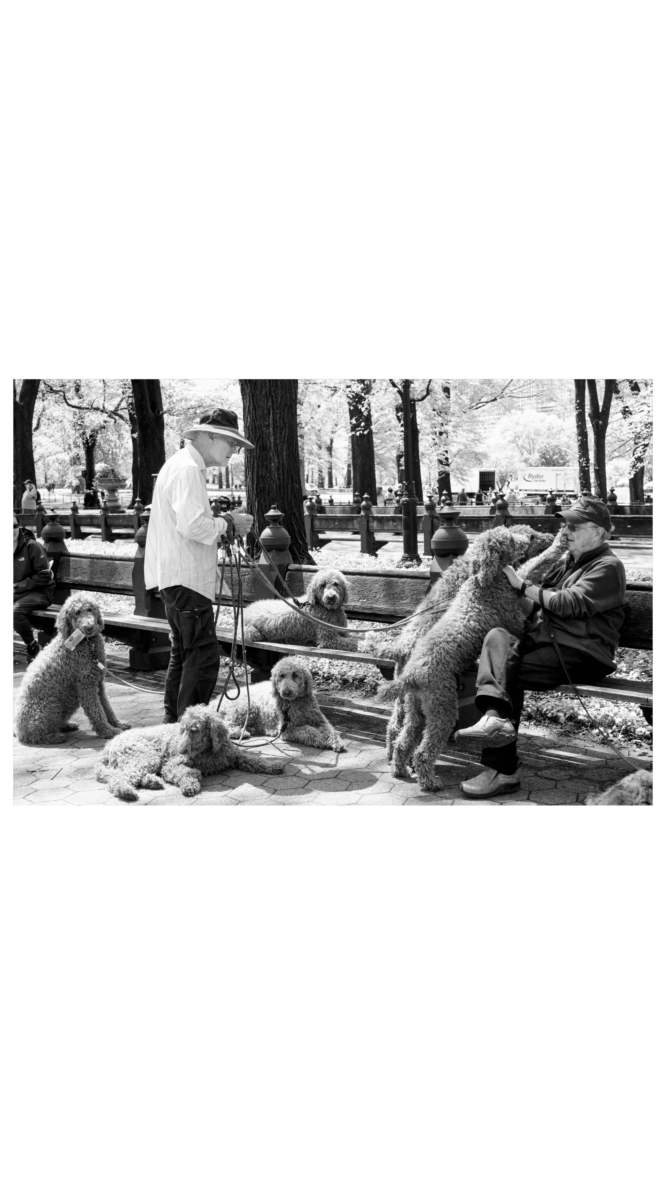 IMG_3521 Edited 2.JPG