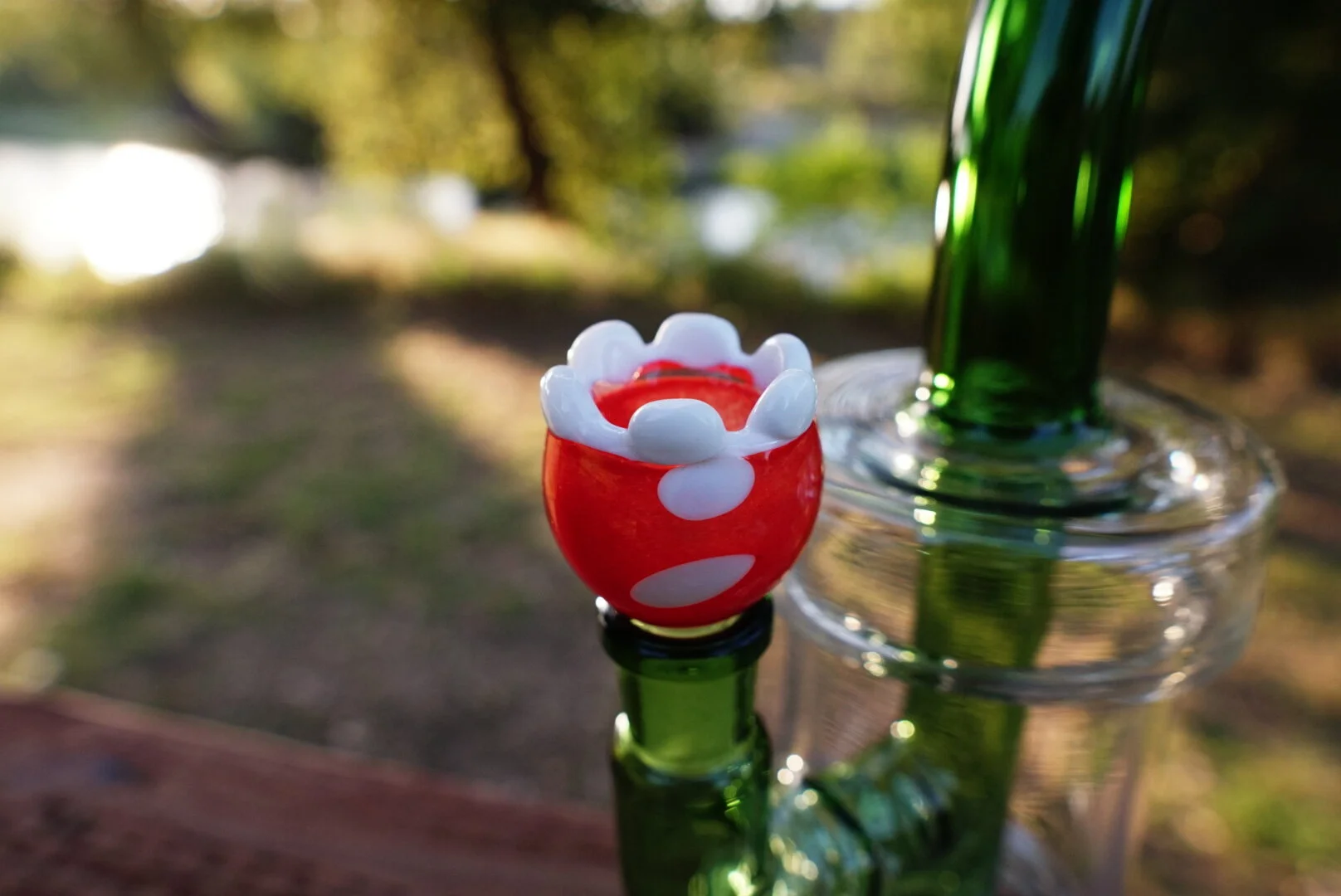 DSC08842.JPG