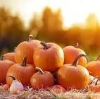 Friday 23rd October