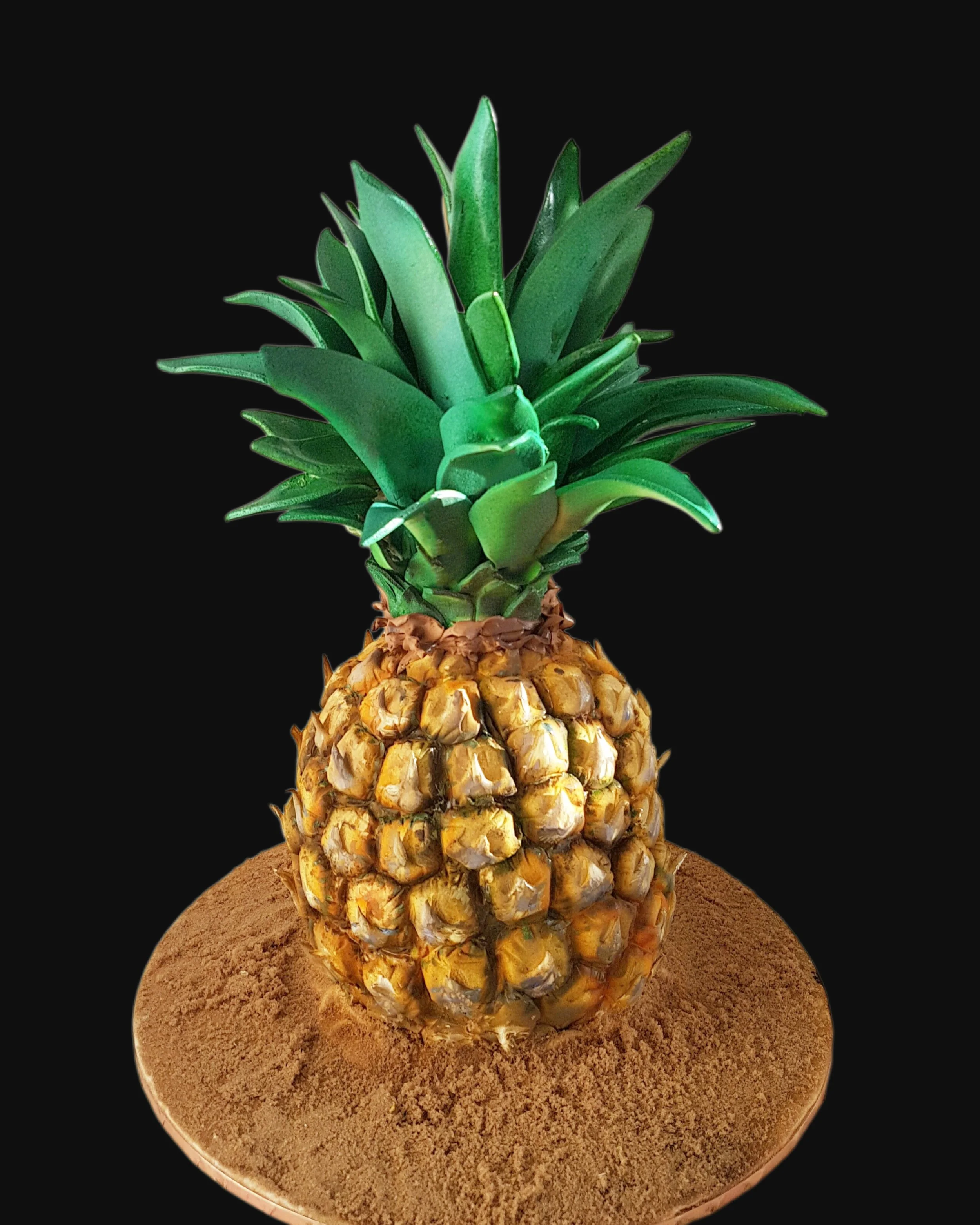 pineapple-illusion-cake -melbourne-cakes-custom-birthday-wedding-celebration-corporate-event-creative-cake-art.jpg