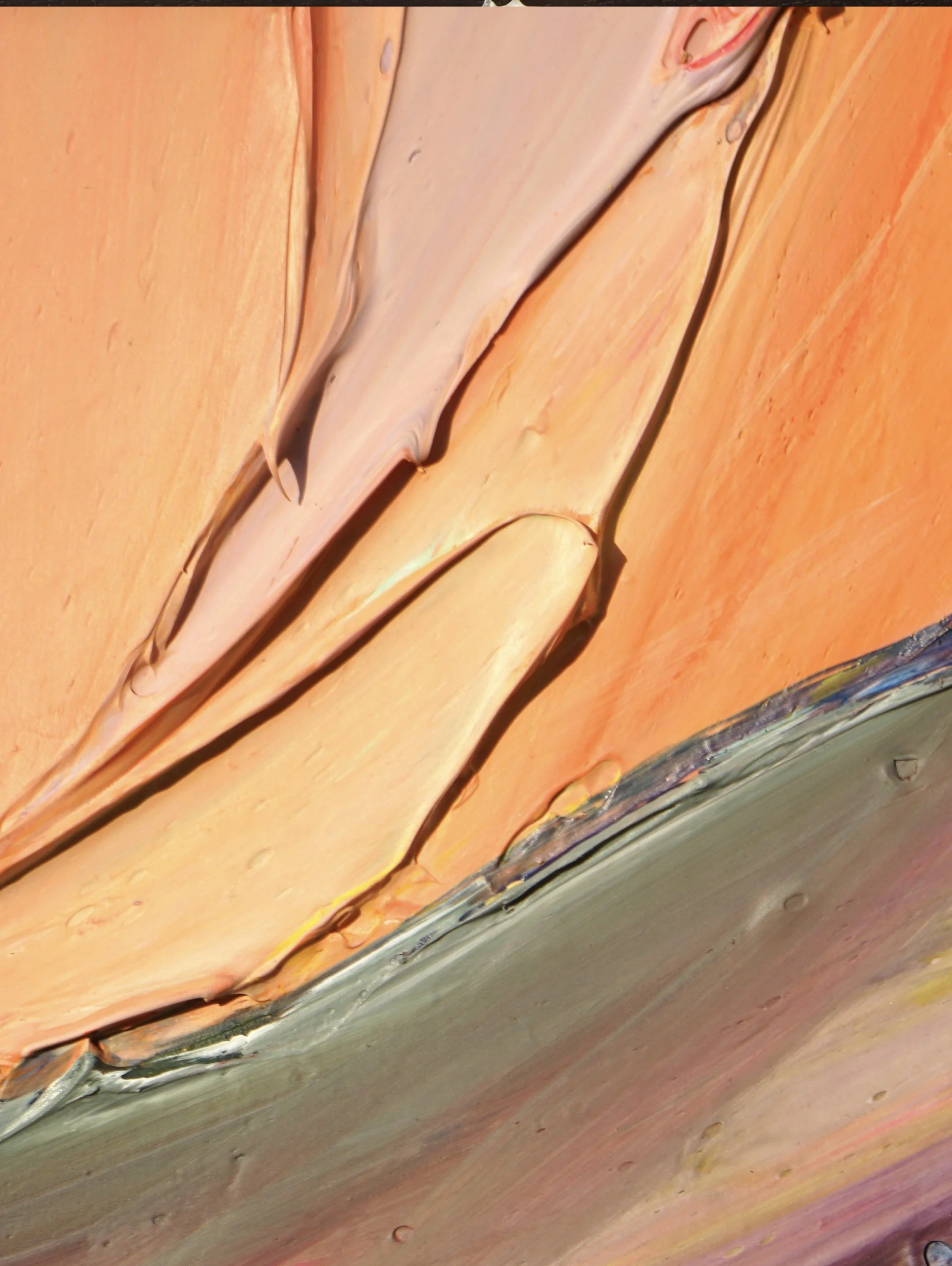 Anna Salenko original.005.jpeg