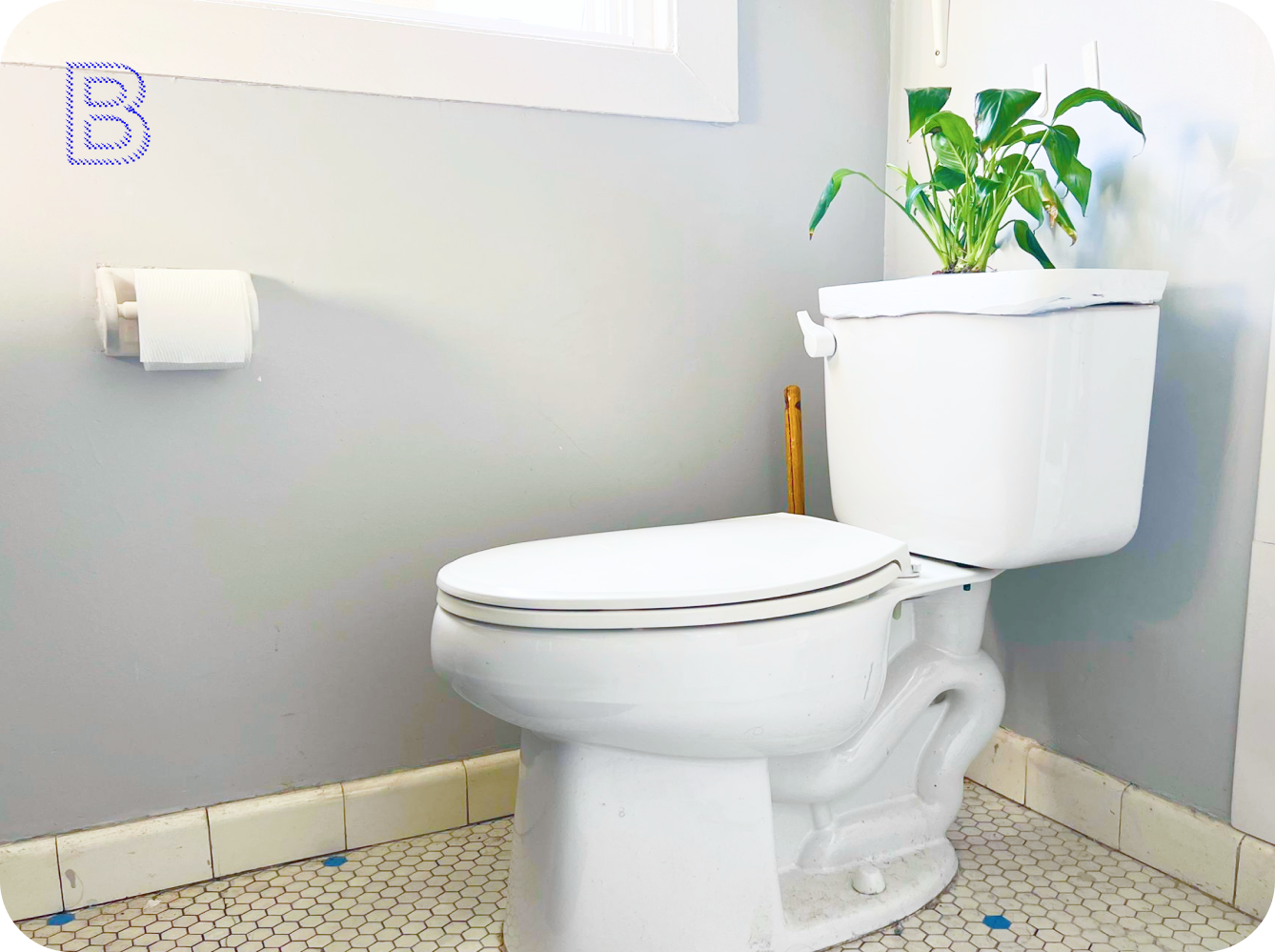 Hydropoonics: Activating Hidden Resources in the Home