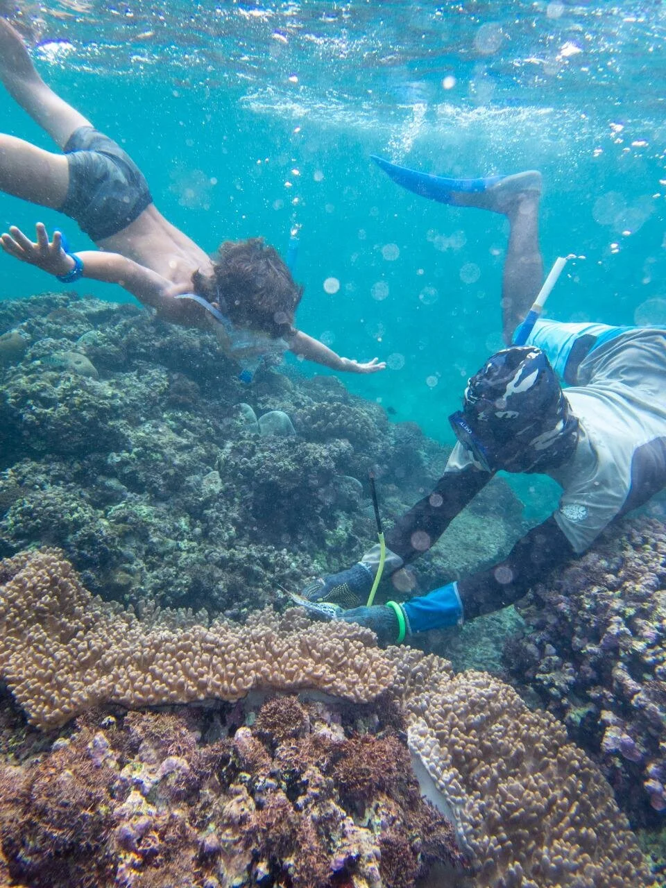 Image 2020-01-22 at 12.26.14.jpeg