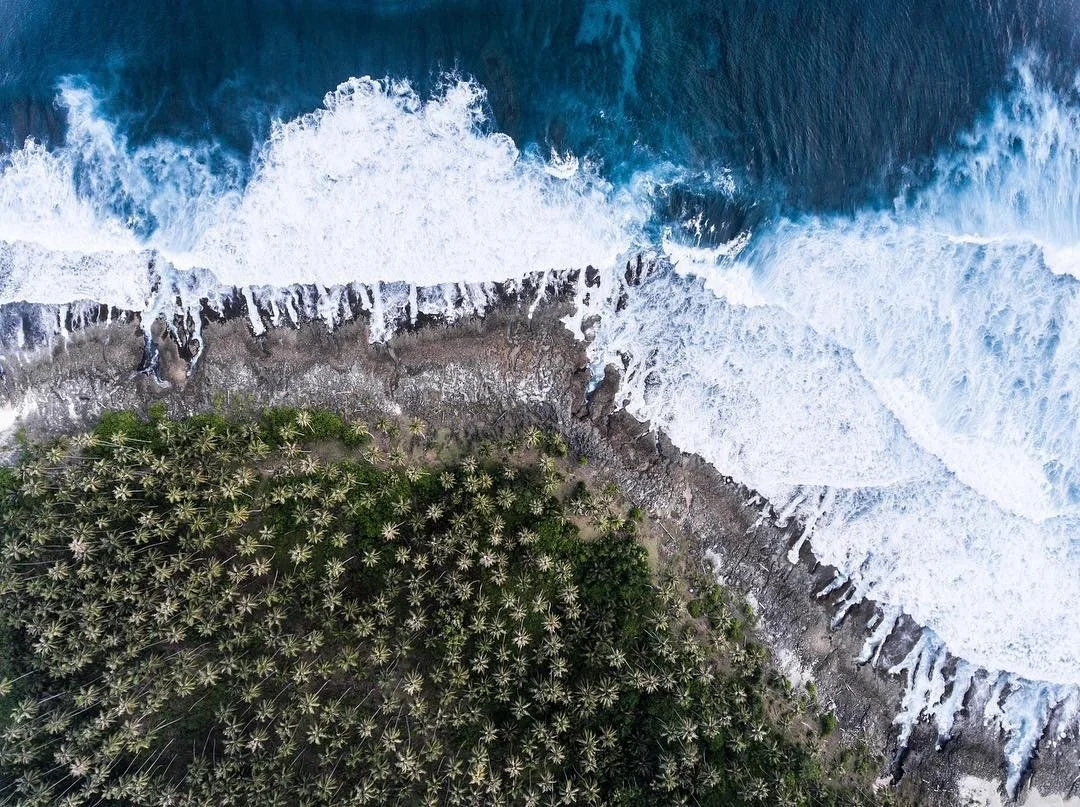 Coconuts and Ocean 2 (Credit aluan).JPG