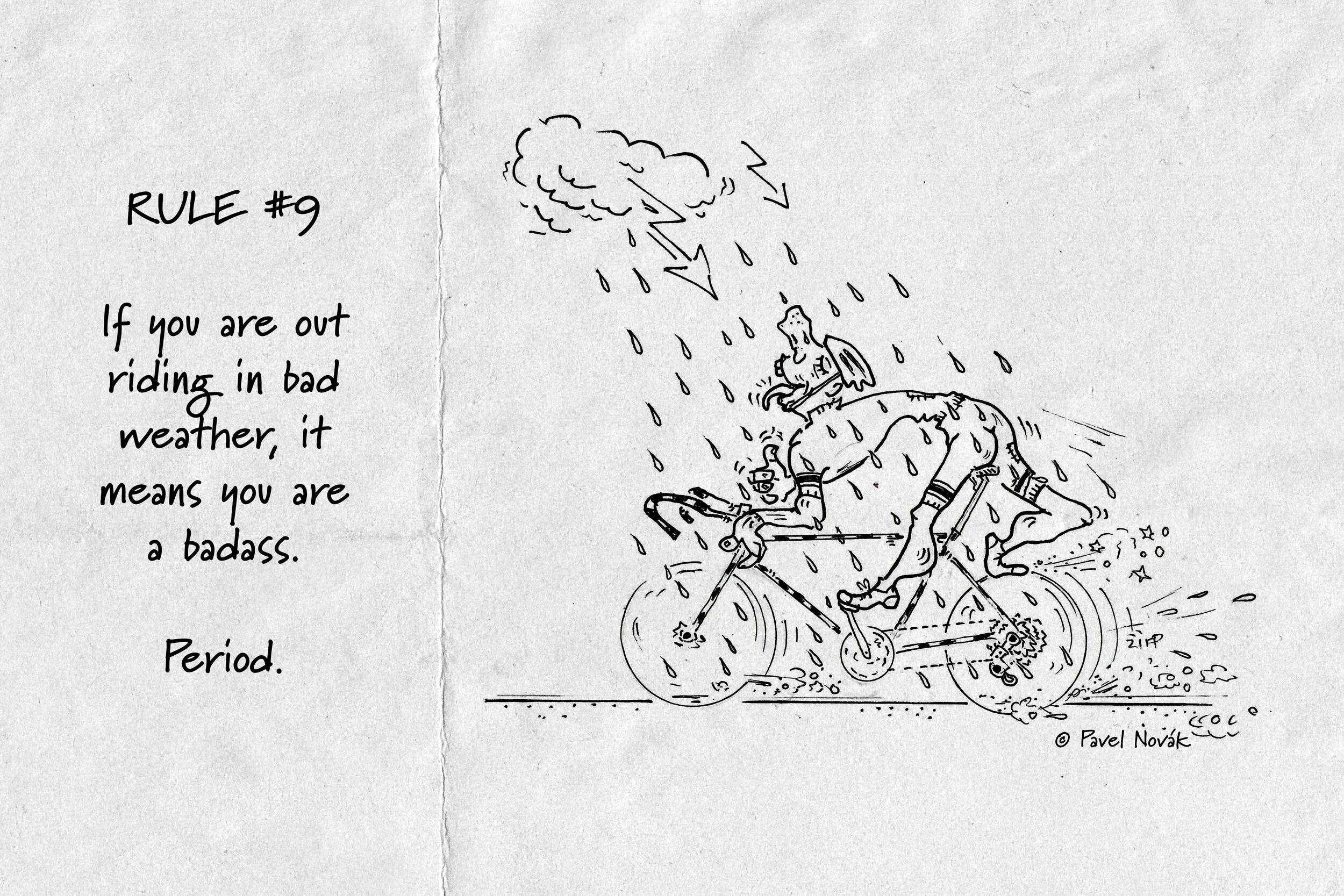 Velominati The Rules — FESTKA