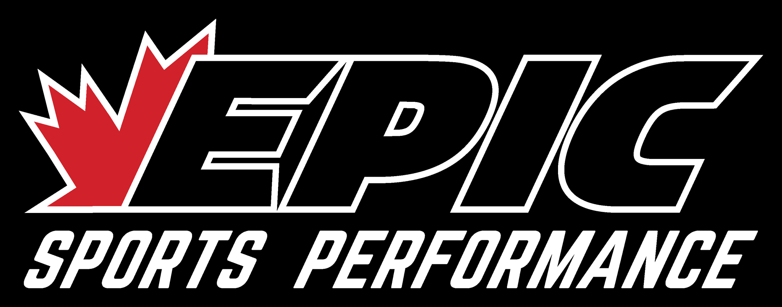 epic_logo_invoice_v2.png