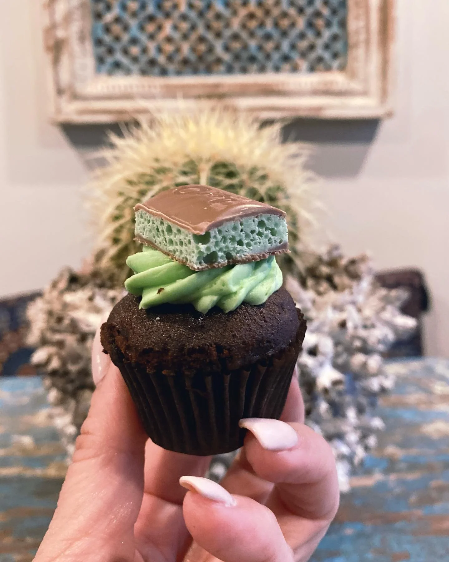 Love in a mini cupcake @dnkcupcakes  @fremantlemarkets 🧁#mintcake #minicupcakes #fremantlemarkets