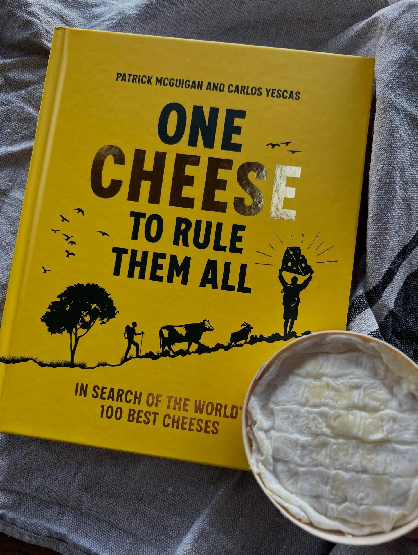 Thank you @patrickmcguigan1 and @carlosyescas for including darling St.Jude in your new book in search of the world&rsquo;s 100 best cheeses ❤️ She is a real trouper and is settling in to this new Norfolk milk rather nicely ☺️