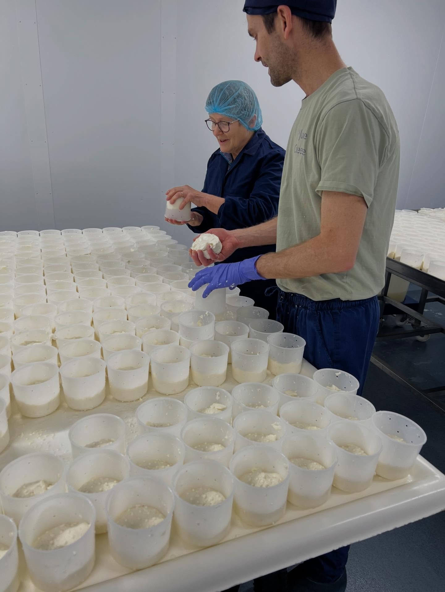 What do retired Salsa auditors do next? Come and wrap Christmas cheeses with us 🤩 Thank you Gill Palmer 🙏❤️