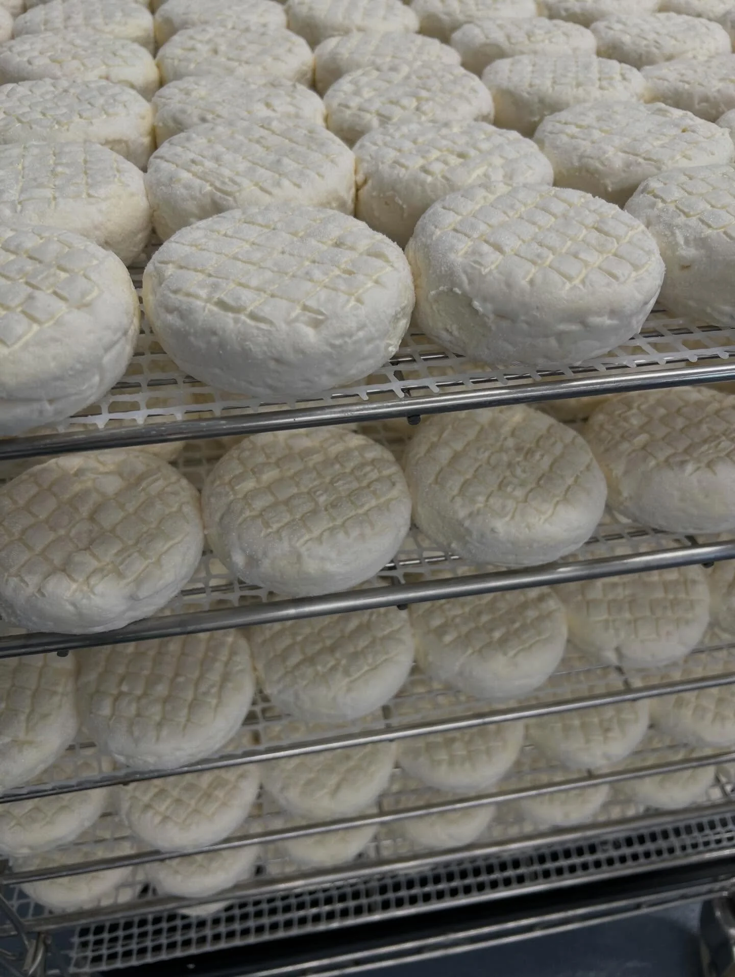 Mothering my cheeses this morning 😉 a perfect morning of cheese and @bbc6music 🤩