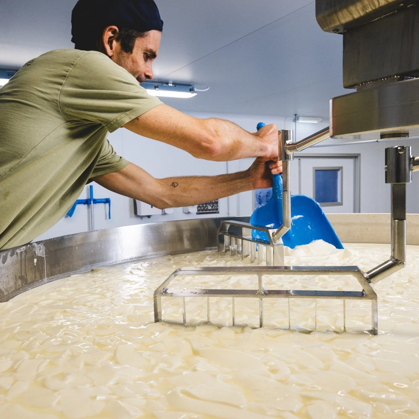 Some Friday photos from @sibuckphoto of Blake and Micky making St.Helena