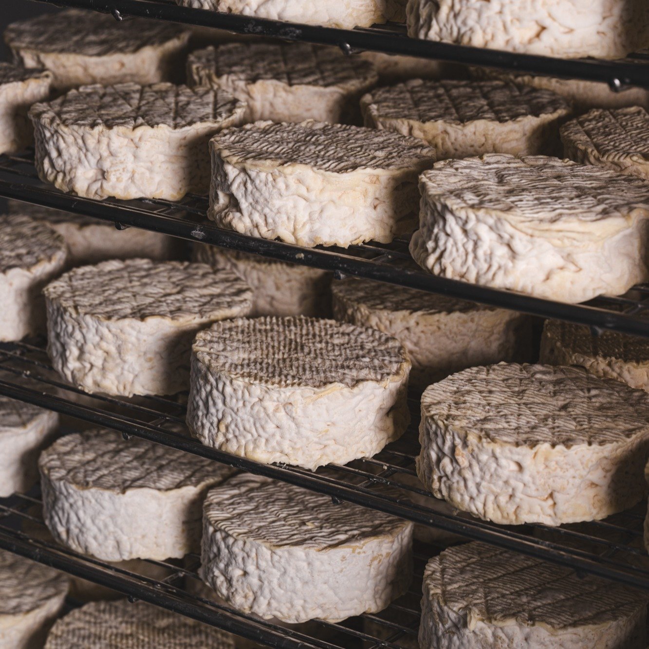 Today is the feast day of St.Bede, an interesting fellow from the beautiful Northumberland who was pretty good at reading and writing, quite the scholar....I chose his name for our newest cheese which is still in R&amp;D but coming along nicely....ch
