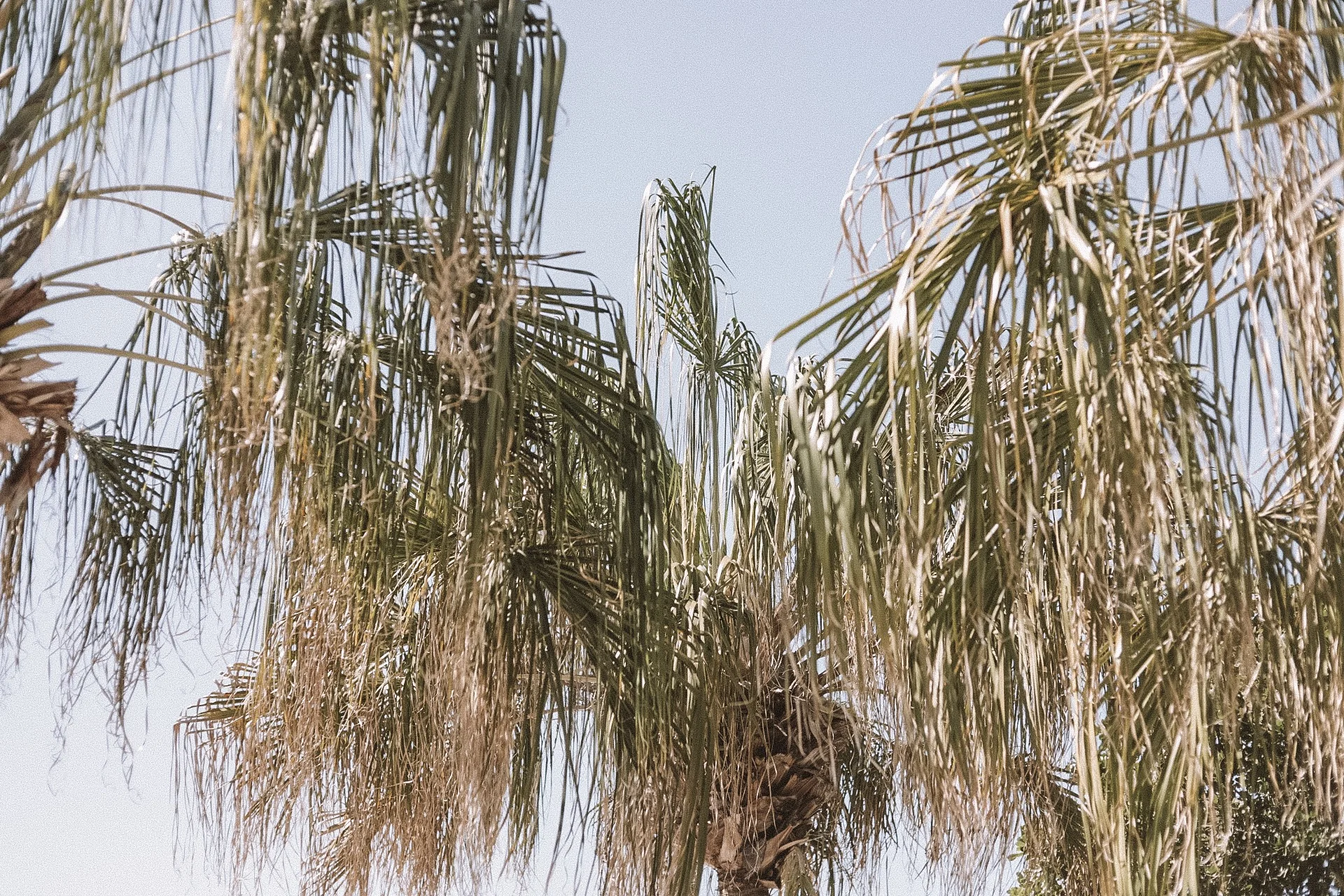 10742935024_1K9A8631.JPG