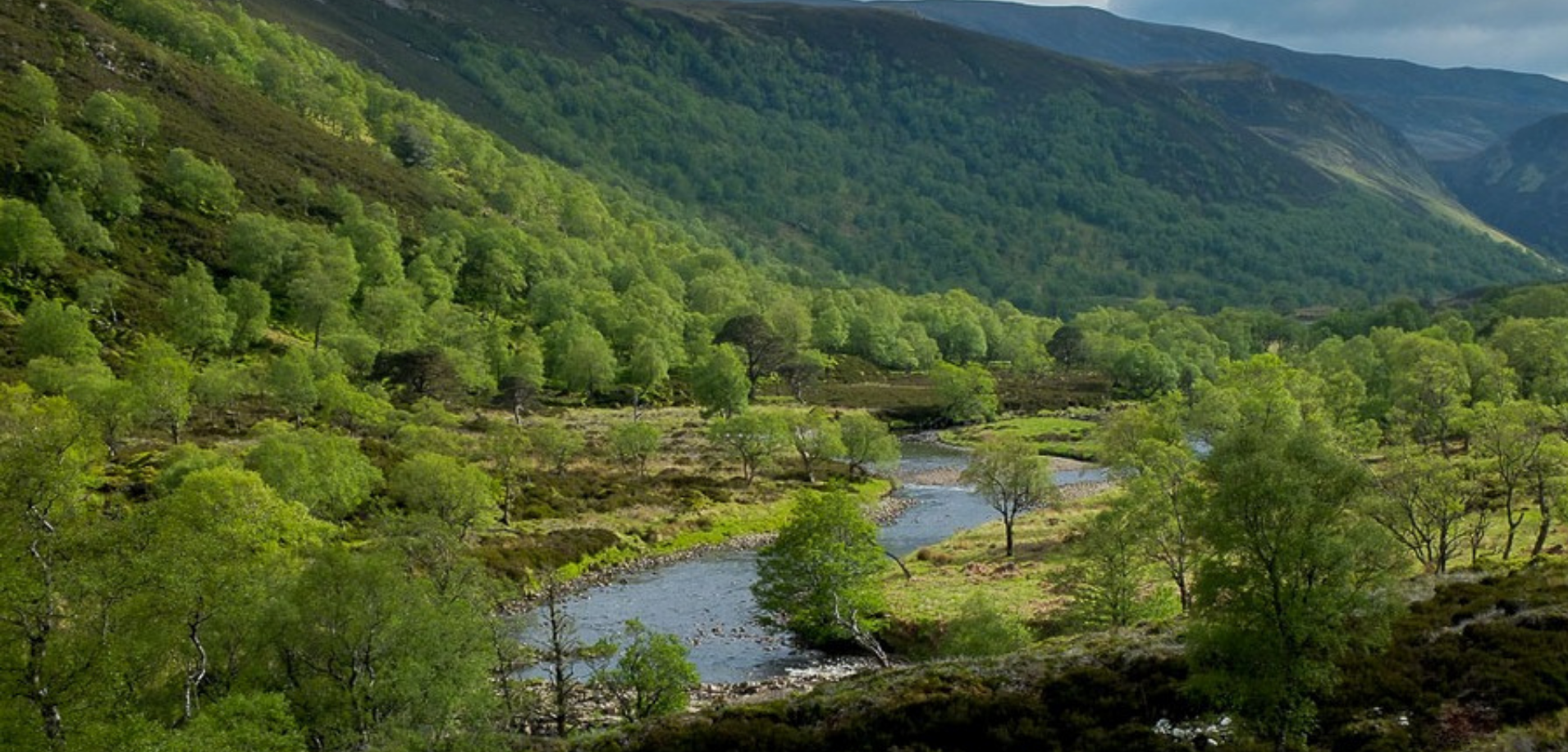 CO2 Monitoring Equipment for Forest Research