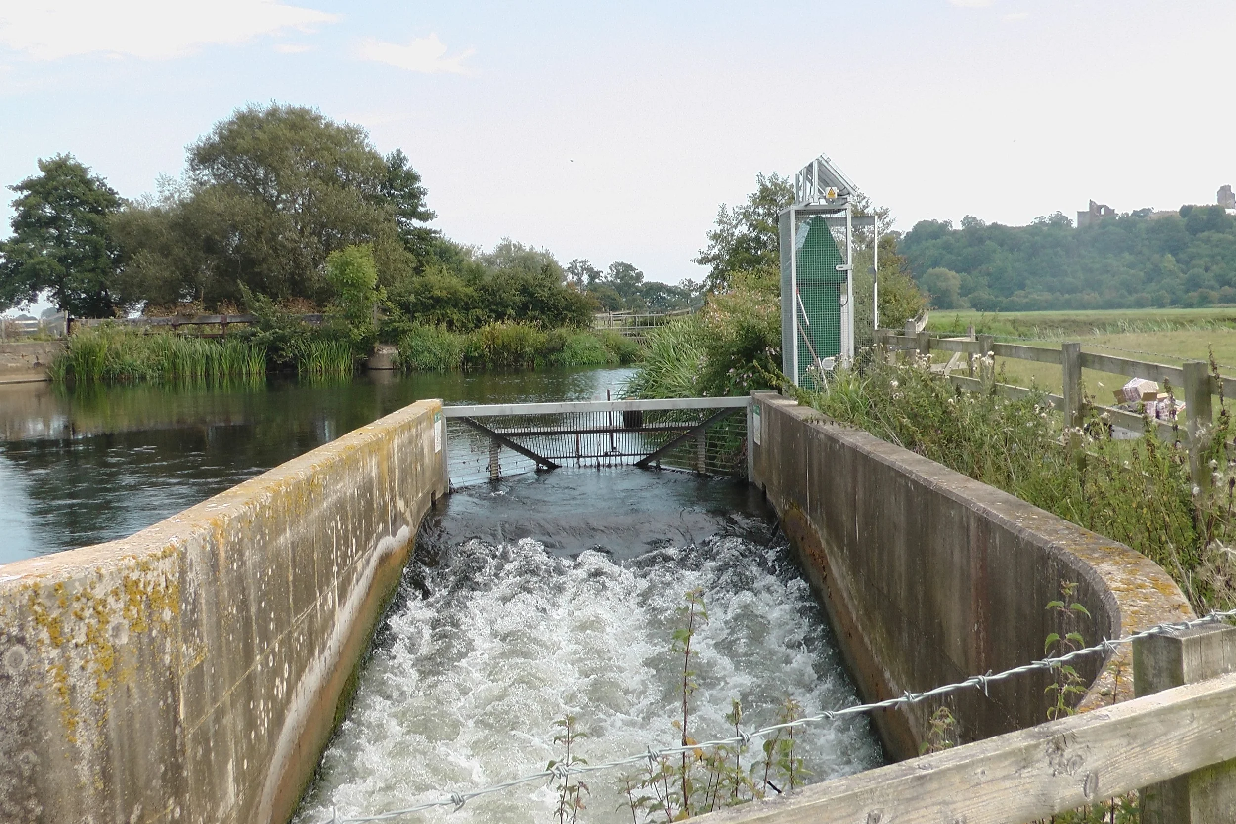 Real Time Water Quality Monitoring