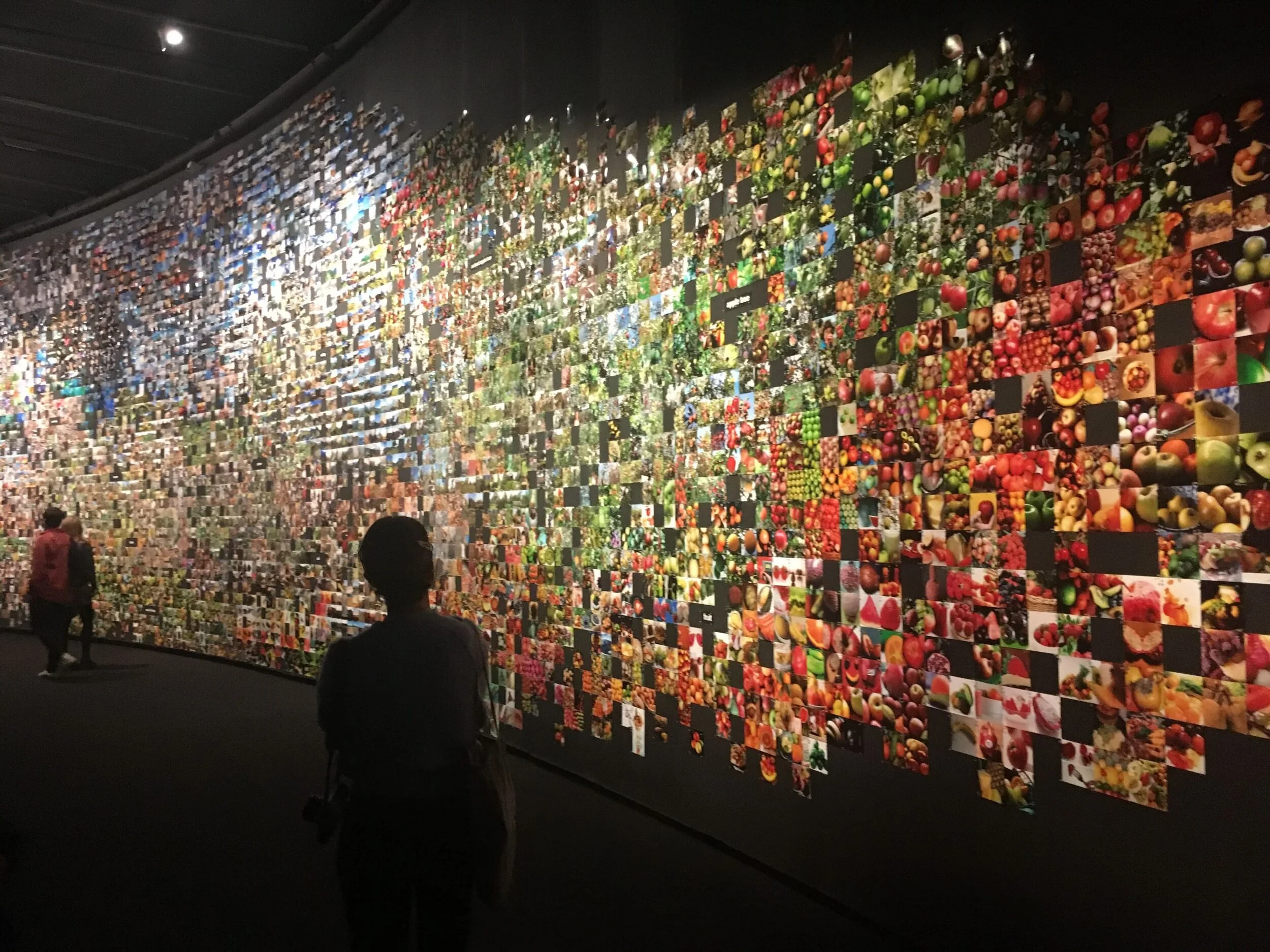 Misidentified #2 Exhibition: From 'Apple' to 'Anomaly'