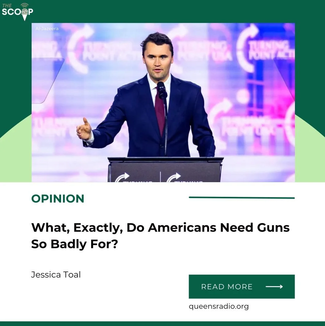 What, Exactly, Do Americans Need Guns So Badly For?