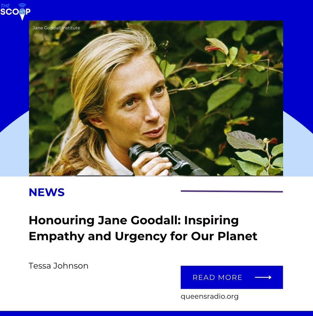 Honouring Jane Goodall: Inspiring Empathy and Urgency for Our Planet