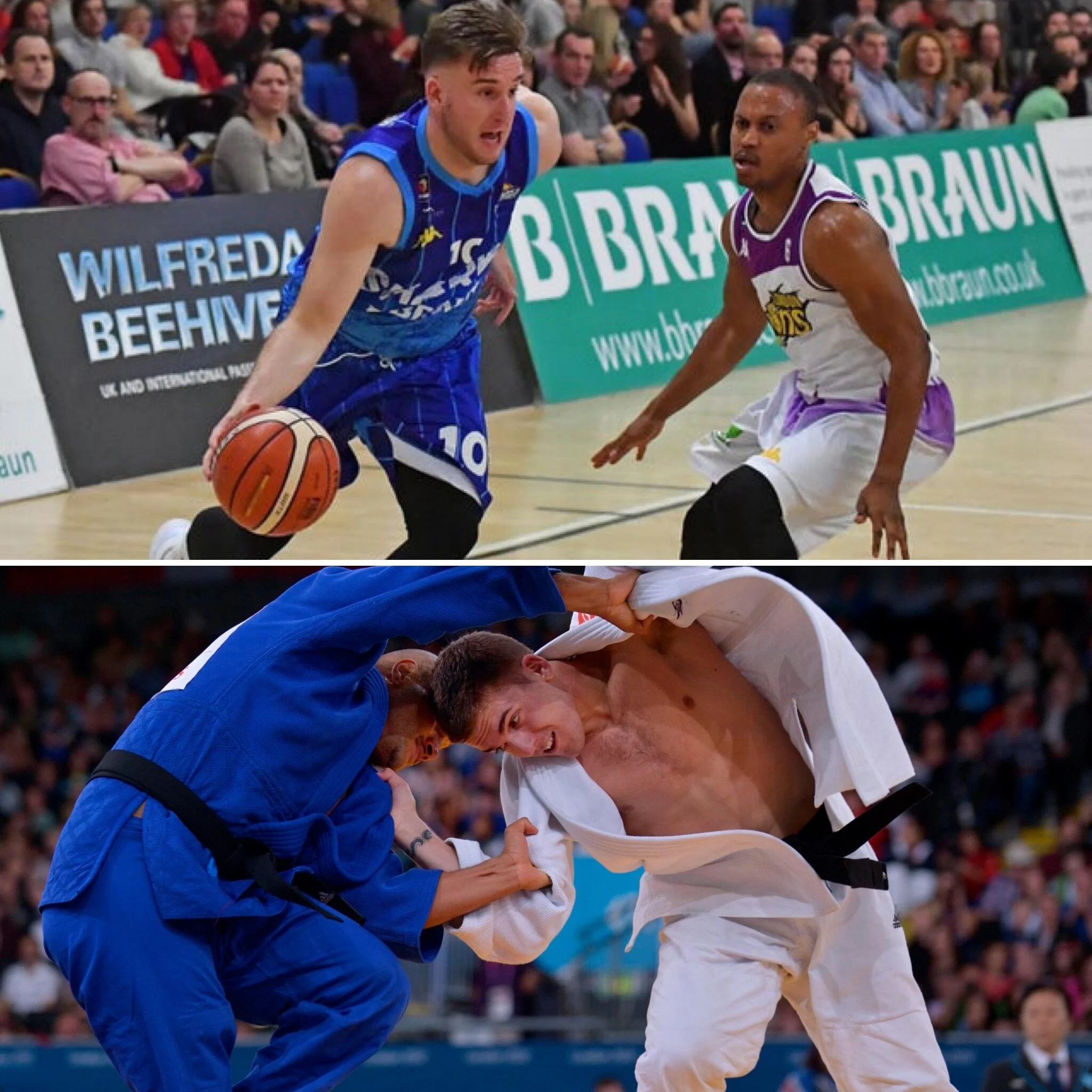 A spotlight on... Dan Powell and Marko Backovic