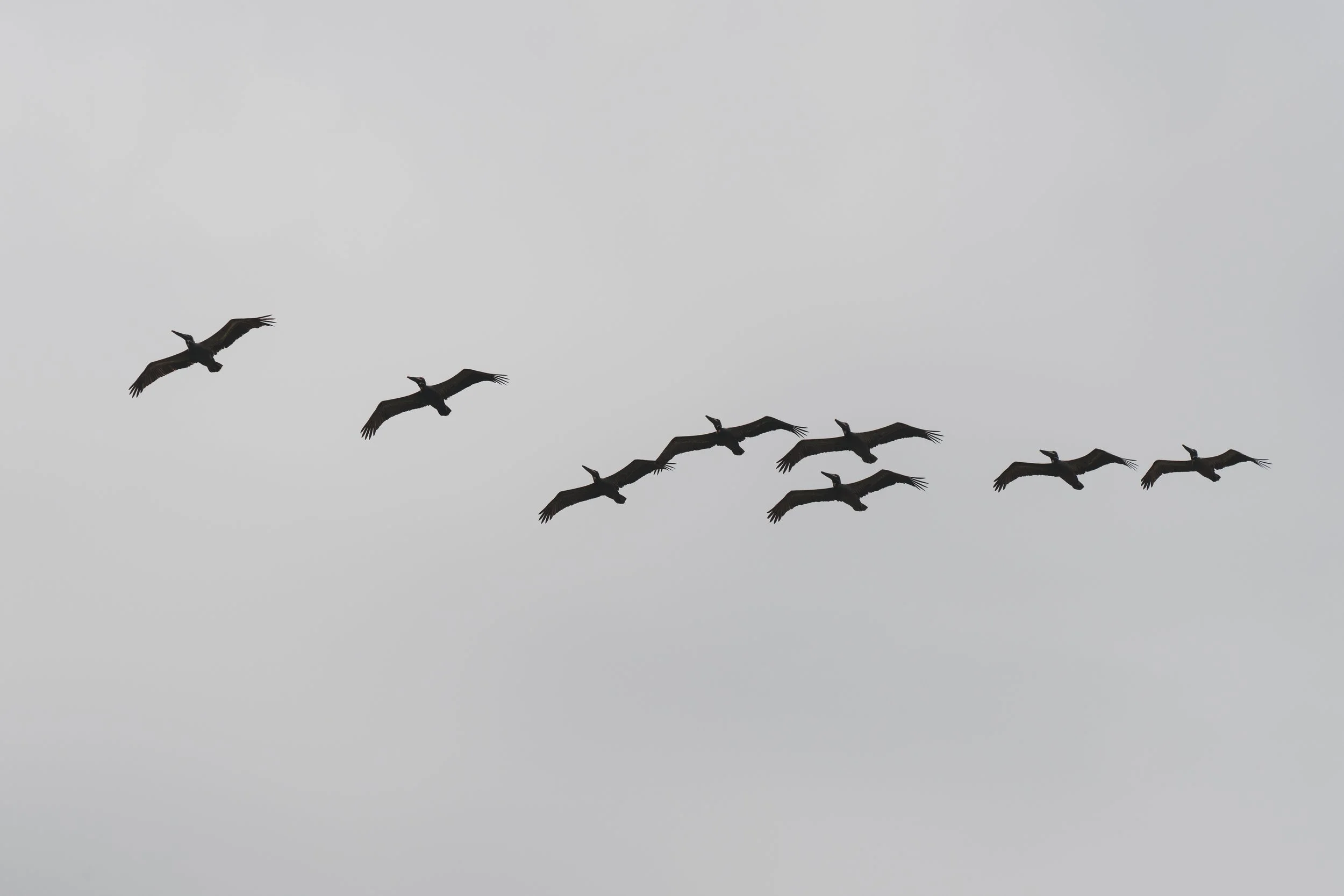 DSC09927.jpg