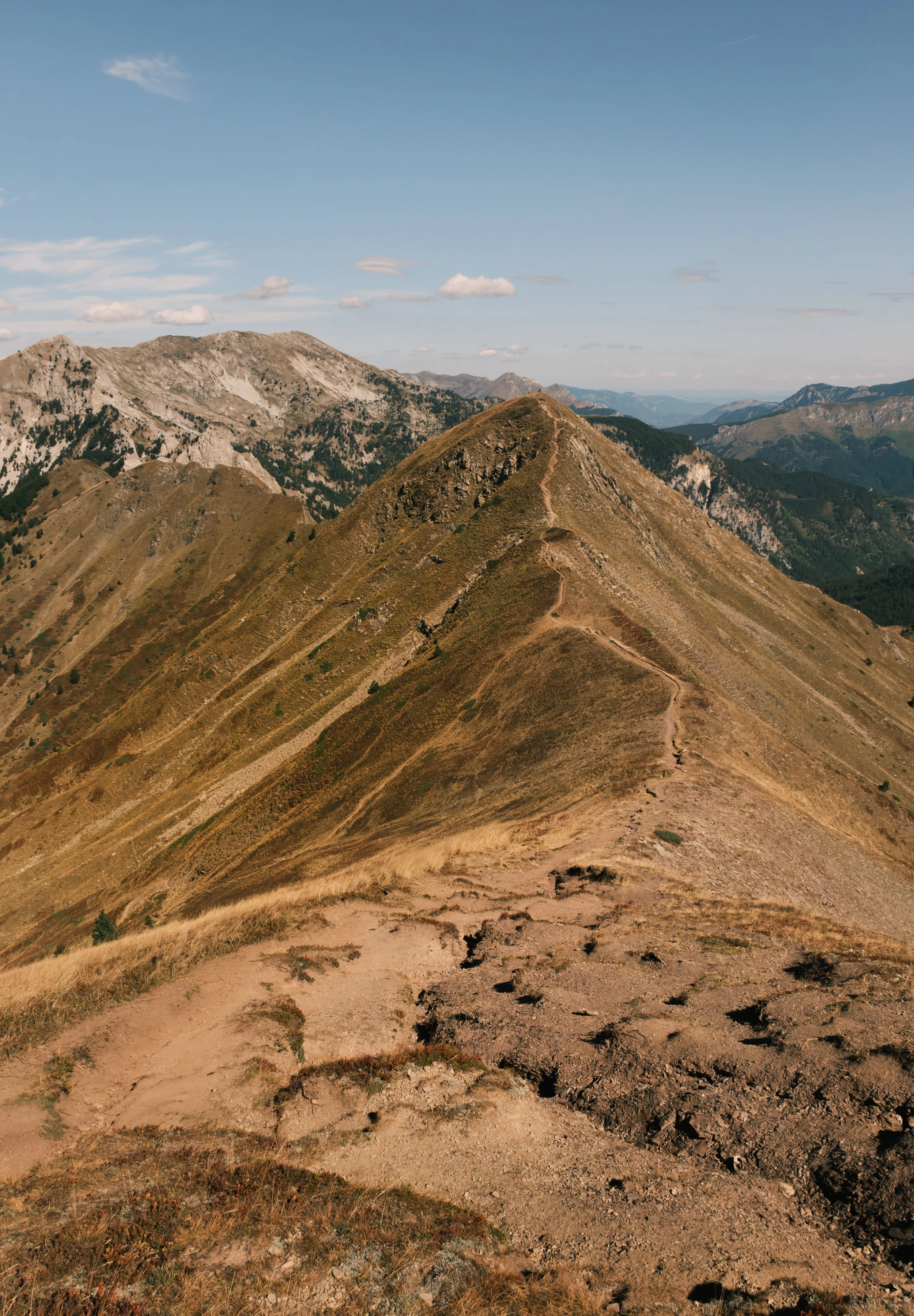 DSCF9658.jpg