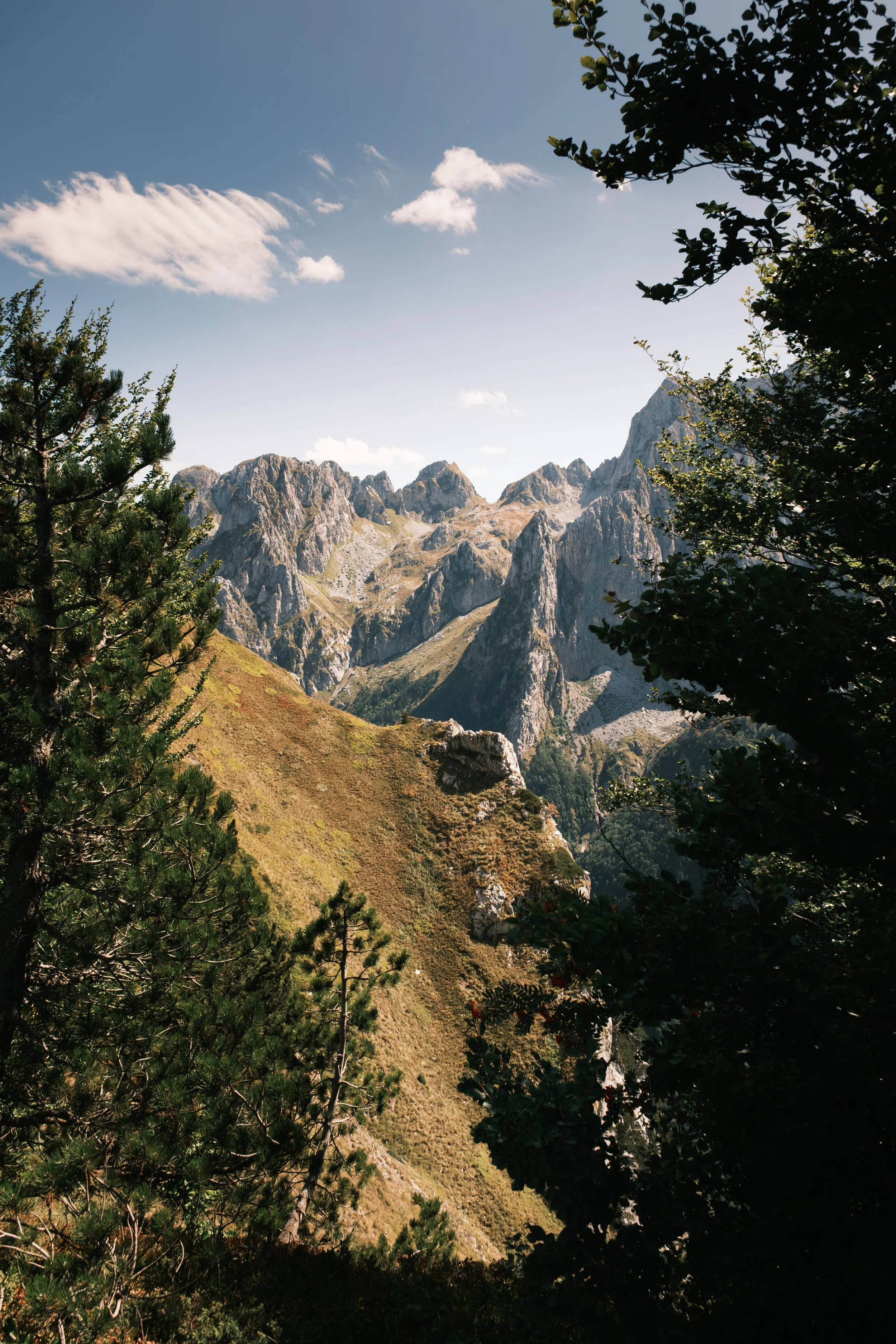 DSCF9670.jpg