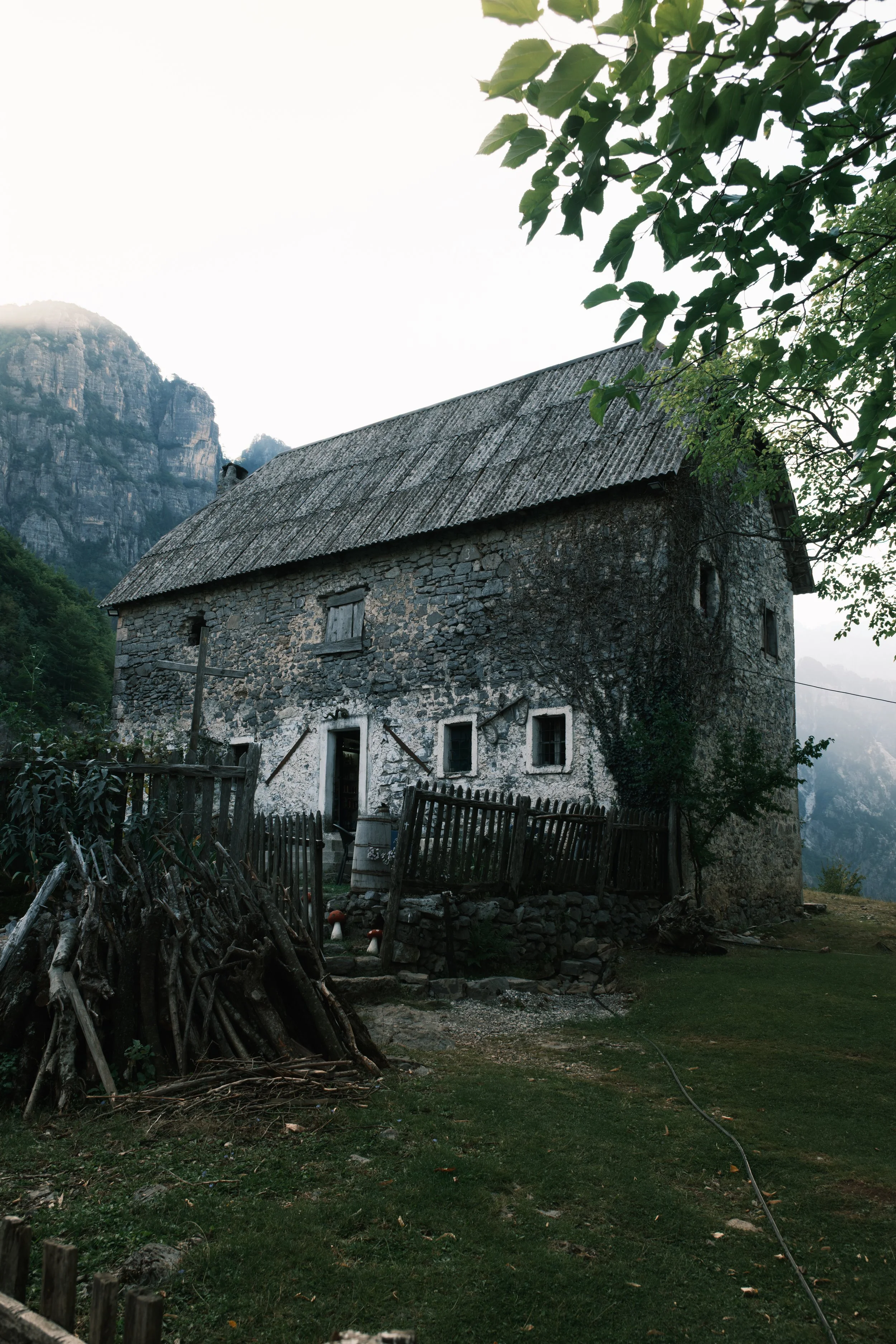 DSCF9737.jpg