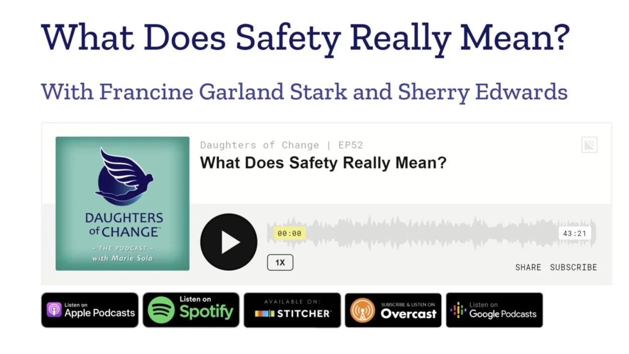 “What Does Safety Really Mean?”