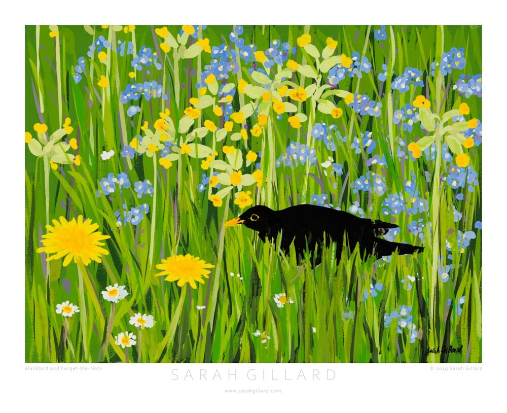 Blackbird and Forget-me-nots Small.jpg