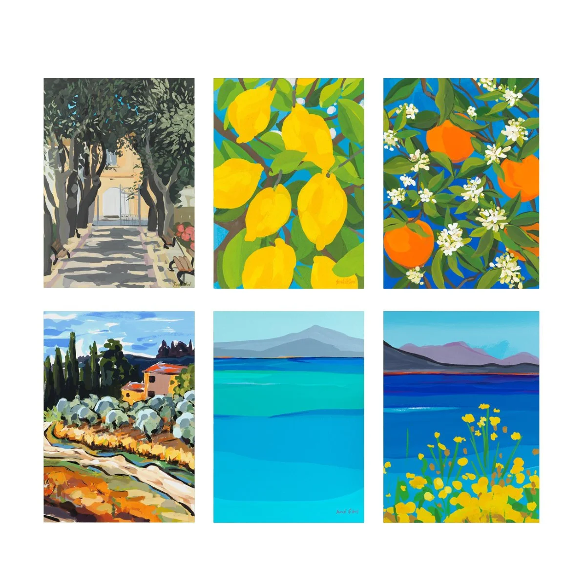 Collection Pack Three