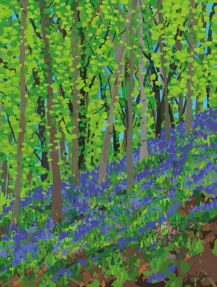 Bluebells-and-Beech-Wood.jpg