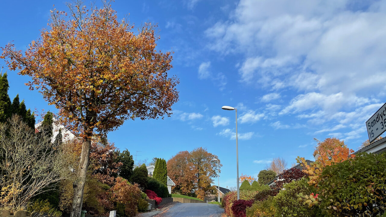 All Photos - 1 of 1 (2).jpeg