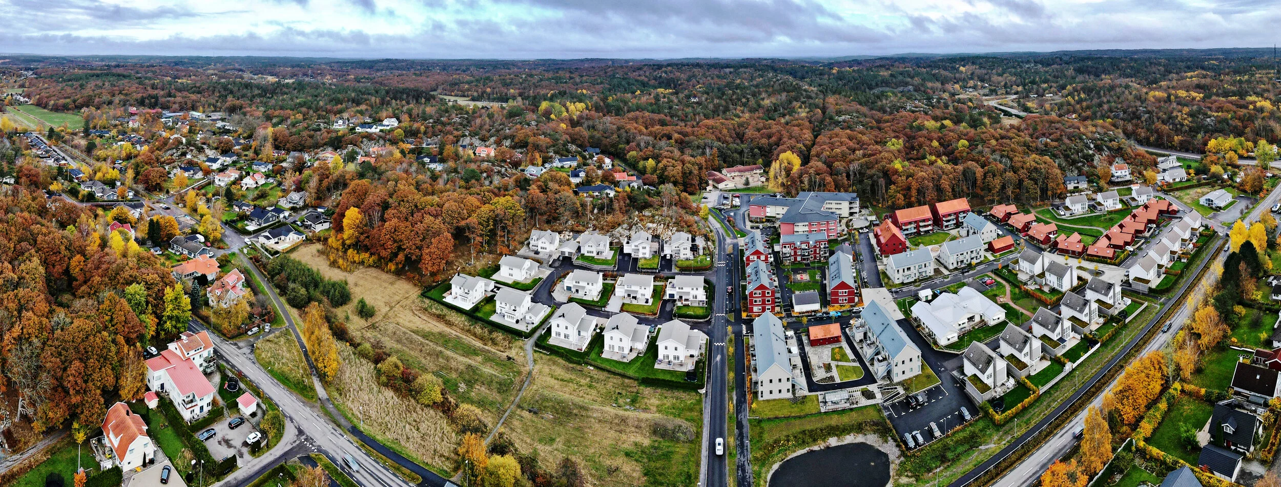 Bångsbo-Sandl. 1 nov 2020 - 04.JPG