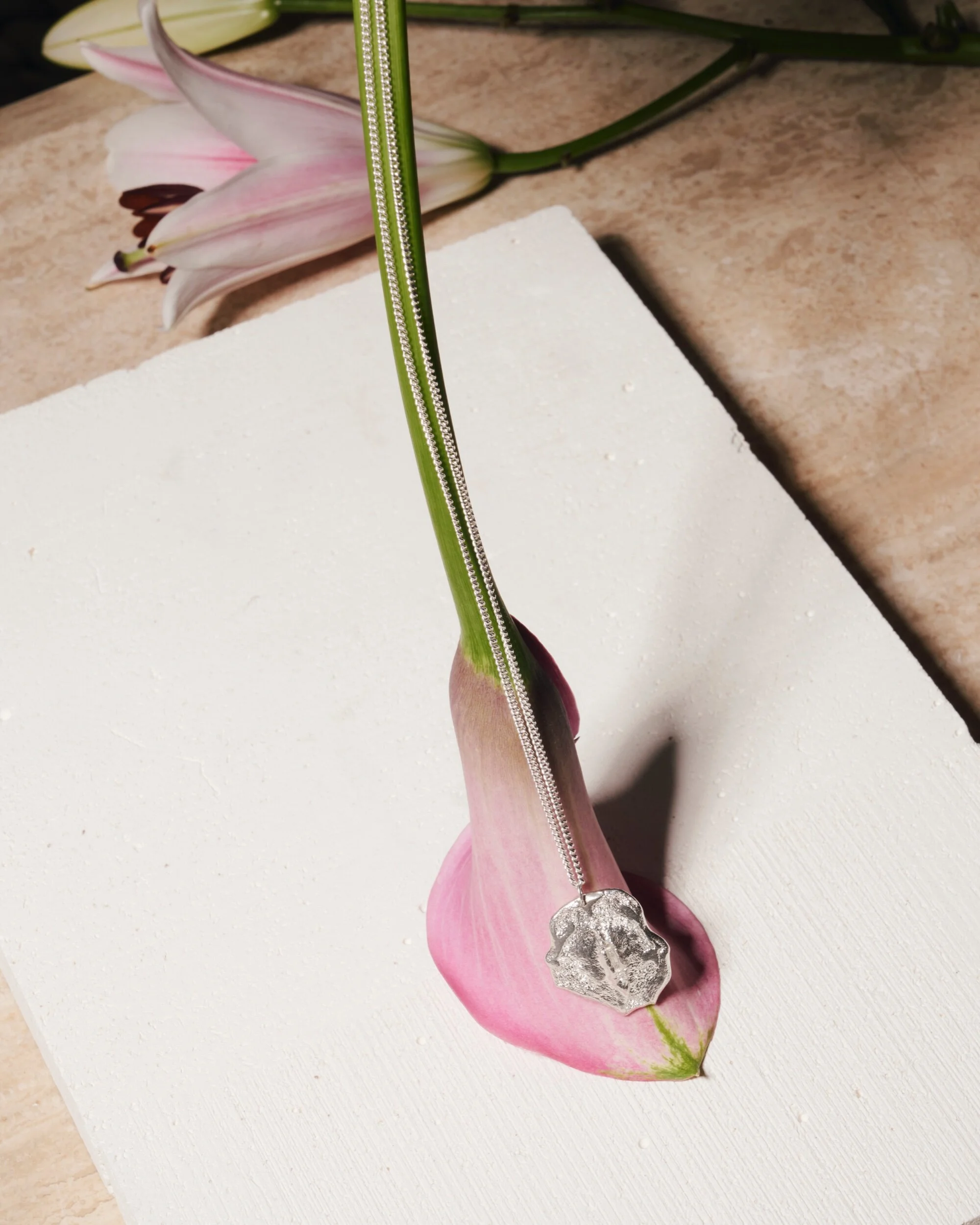 16A90690-3F81-46CD-8364-12F9591EC12C